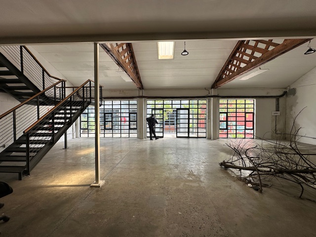 To Let commercial Property for Rent in Salt River Western Cape